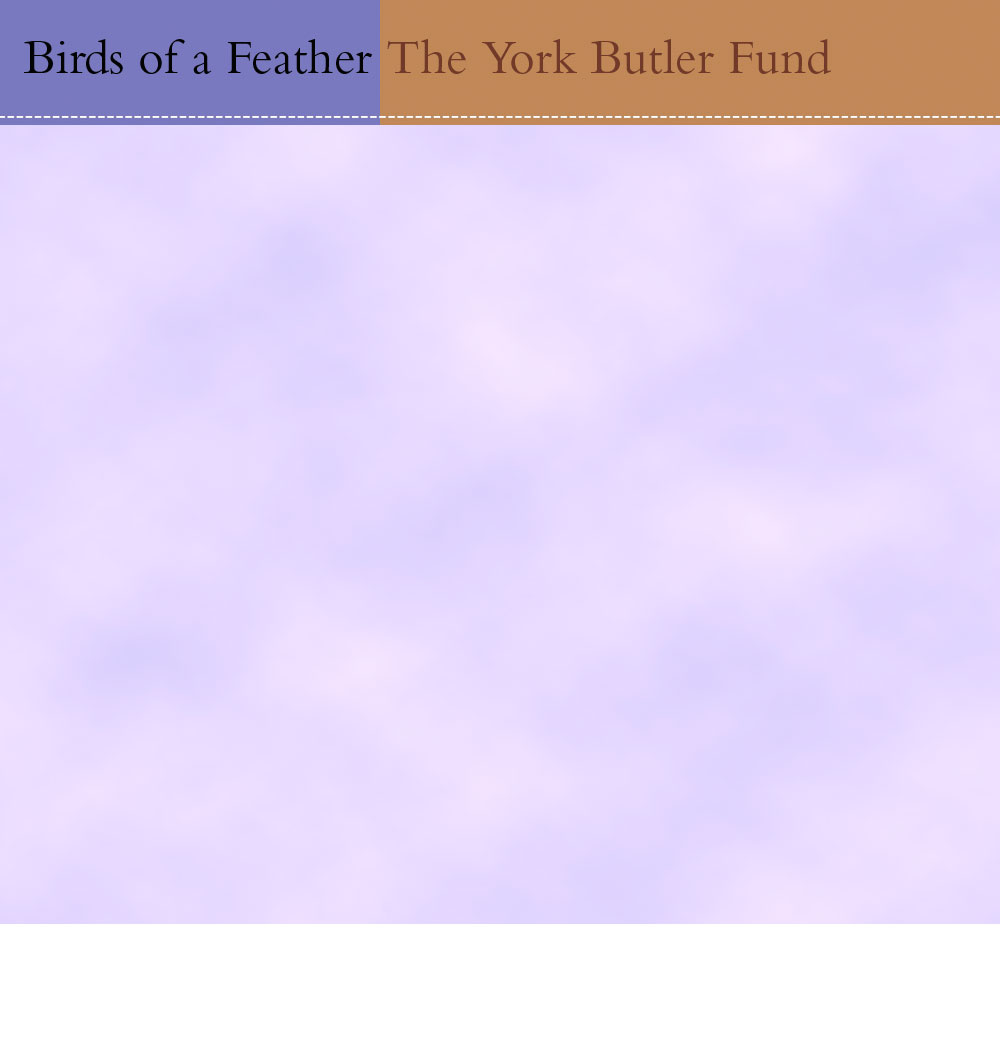 York-Butler-Fund