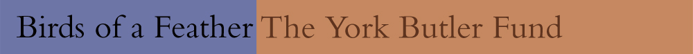 YorkButler_Header
