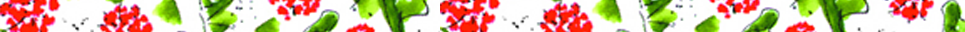 Footer-RedFlowers