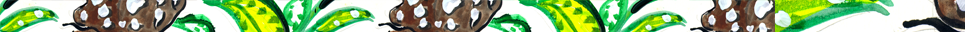 footer-butterfly