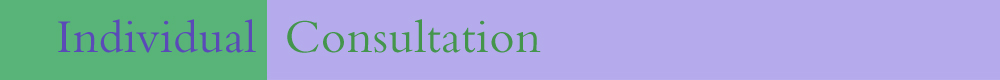 Individual Consultation