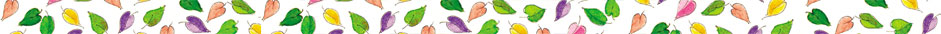 home-page-bottom-banner